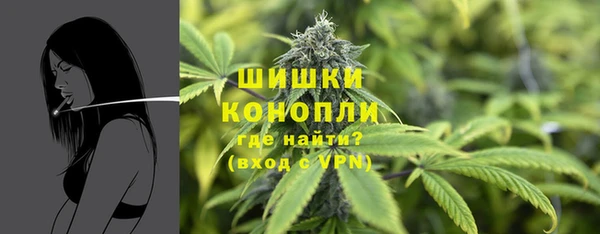 мдпв Кулебаки
