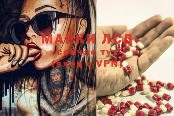 мдпв Кулебаки