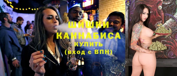 мдпв Кулебаки