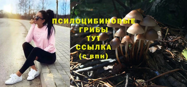 экстази Кукмор