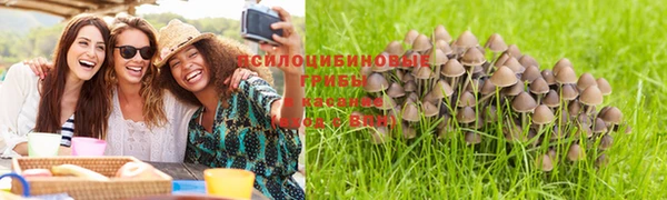 ALPHA-PVP Куйбышев